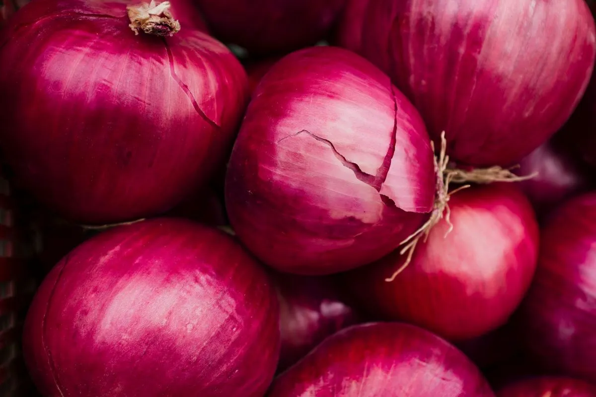 You are currently viewing Unveiling the Layers of Onion: A Comprehensive Exploration
