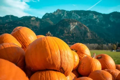 Read more about the article “Pumpkins Power: Exploring Its Rich History and Health Benefits”